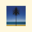 Metronomy / The English Riviera - CD (Used)