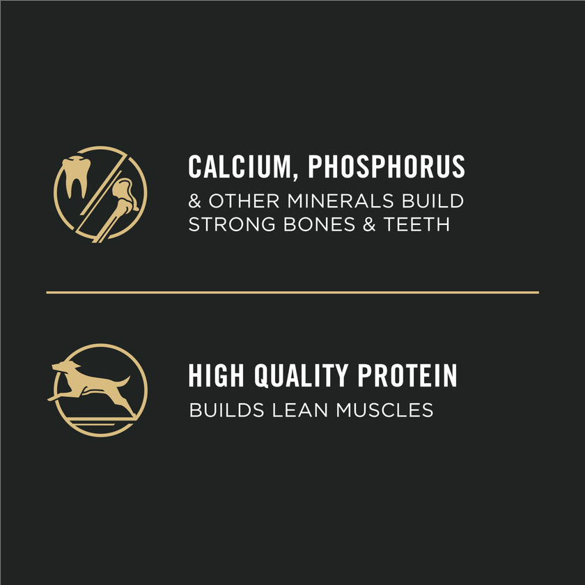 Purina Pro Plan Dry Puppy Food, Development Shredded Blend Chicken & Rice - 15.4 kg Bag (1 Pack) 🍁 All In One Marketplace Canada