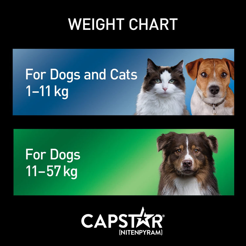 Capstar Oral Flea Treatment for Small Dogs and Cats weighing 1 to 11 kg - 6 pack 🍁 All In One Marketplace Canada