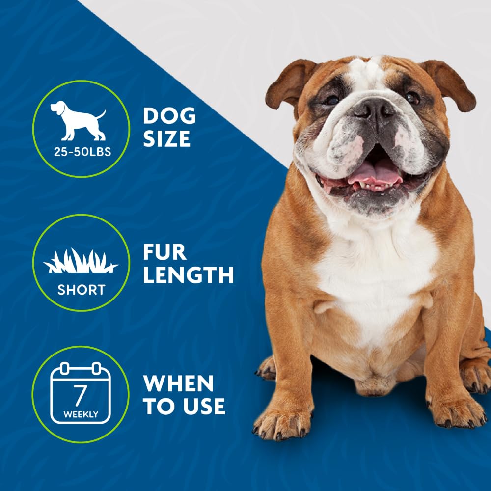 FURminator® Undercoat deShedding Tool For Medium Dogs, Short Hair, Removes Loose Hair From Shedding 🍁 All In One Marketplace Canada
