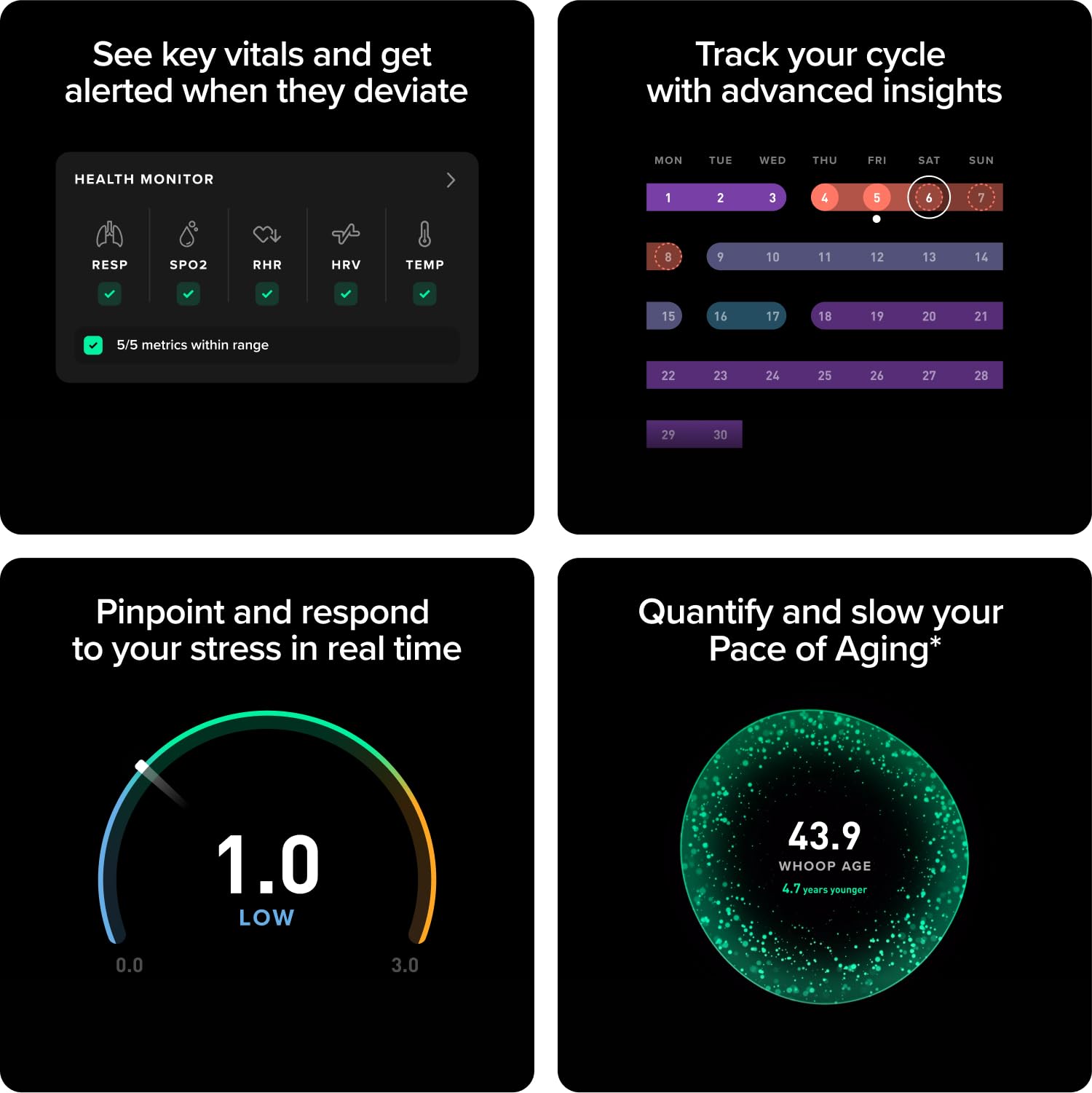 WHOOP Peak – 12-Month Membership – 5.0 Health and Fitness Wearable – 24/7 Activity and Sleep Tracker with Heart Rate, HRV, Stress Monitor, Personalized Coaching, Healthspan – 14+ Days Battery Life 🍁 All In One Marketplace Canada