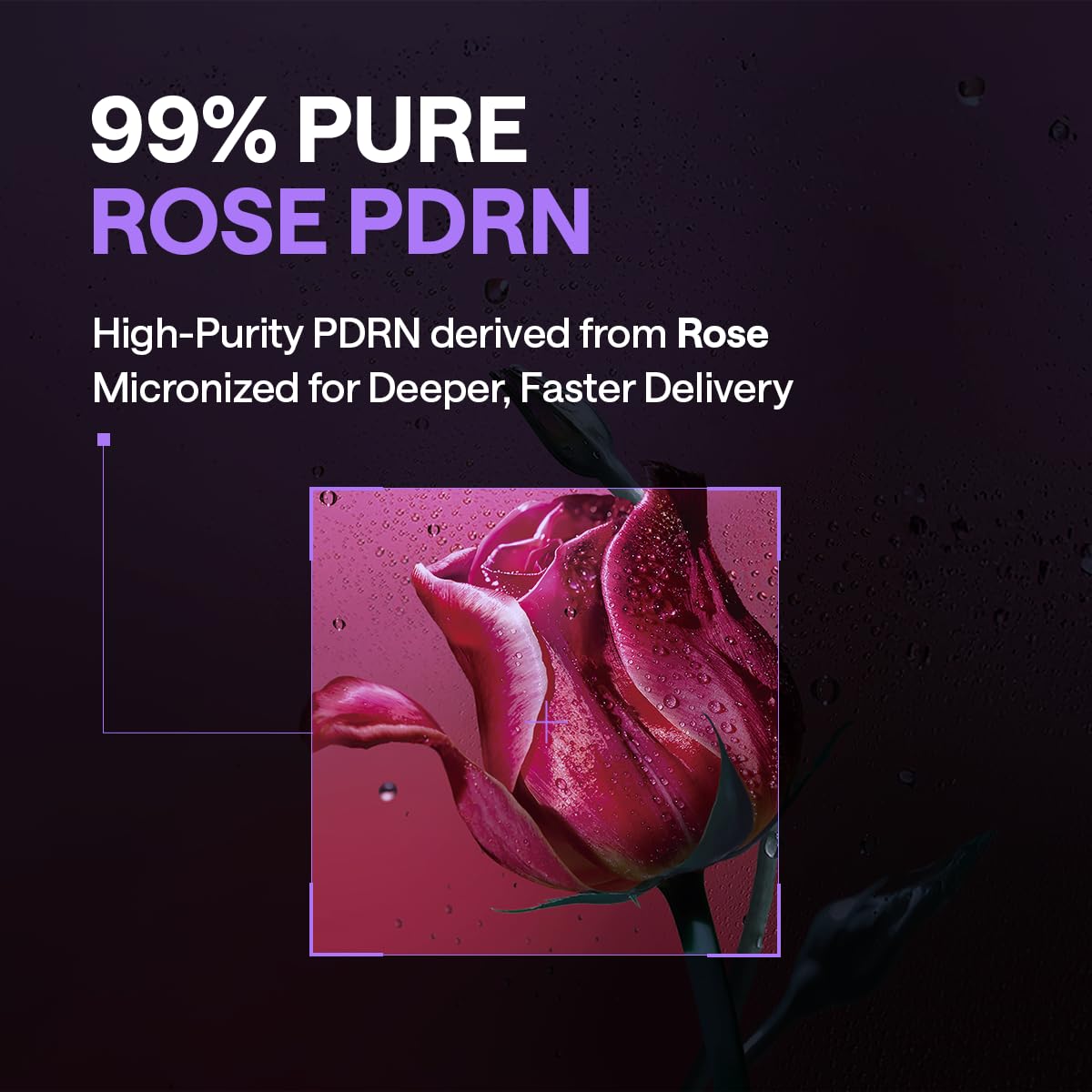 MEDIHEAL PDRN Lifting Toner Pads – Pore Tightening with Plant-Based PDRN, Peptide, Glutathione & PHA, Pore Care, Firming & Wrinkle Care, Stretchy Lifting Fabric, Korean Skin Care, 100 Pads 🍁 All In One Marketplace Canada