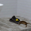 Mouse Traps 8 Pack - Humane Instant Catch Reusable Indoor/Outdoor Snap Traps for Small Mice, Safe & Effective Rodent Catcher with Easy Clean Design (Kids & Pets Friendly) 🍁 All In One Marketplace Canada