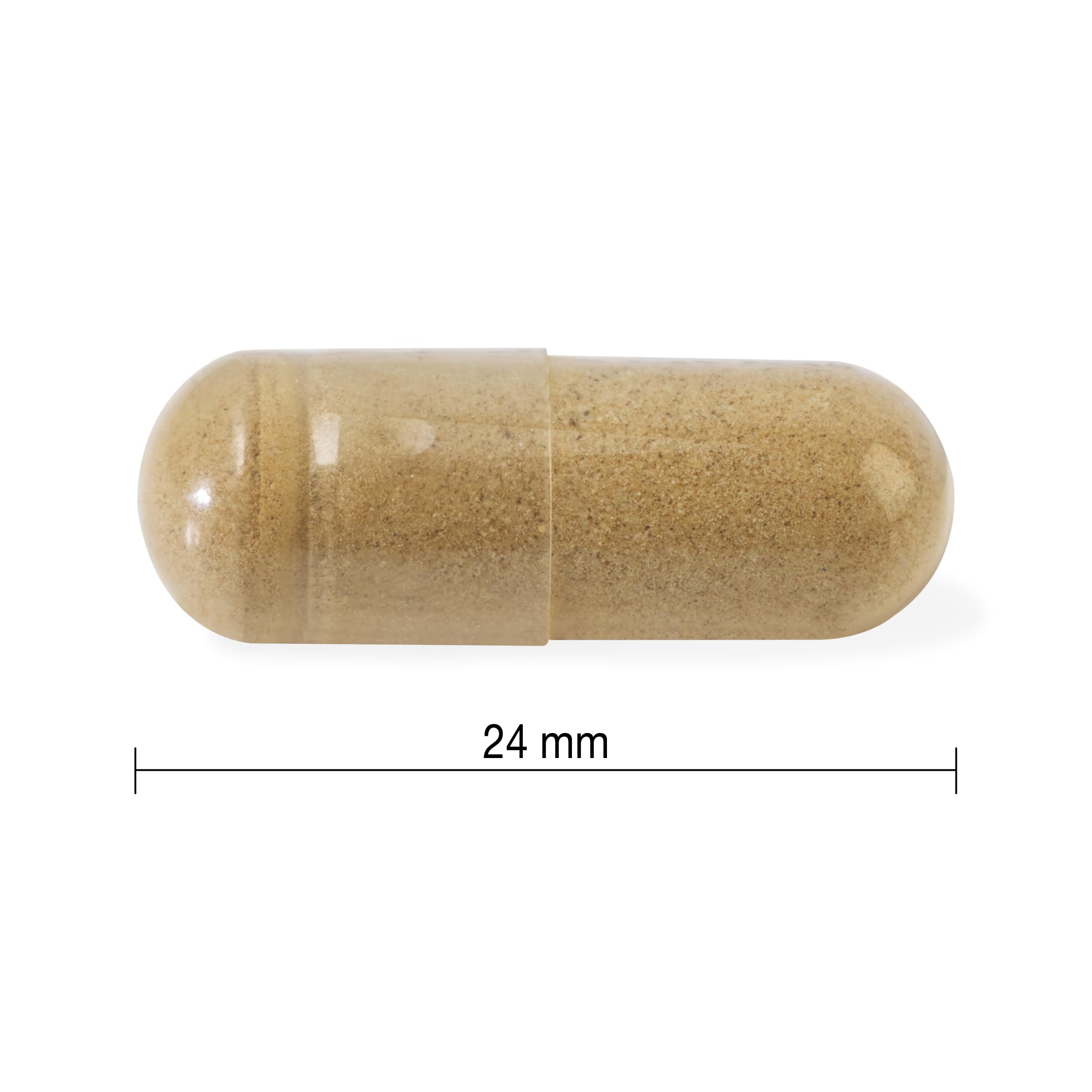 Jamieson High-Potency Ashwagandha 6,000 mg, Increases Resistance to Stress, Adaptogen, and Enhances Memory. Non-GMO, Vegetarian, Gluten-Free, Only One Per Day, Value Size, 100 Capsules 🍁 All In One Marketplace Canada