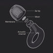 Loop Experience 2 Ear Plugs – Stylish Certified Hearing Protection for Concerts & Festivals, Live Events, Musicians, Sports, DJs and Nightlife – 17dB Noise Reduction Earplugs (High-Fidelity) 🍁 All In One Marketplace Canada