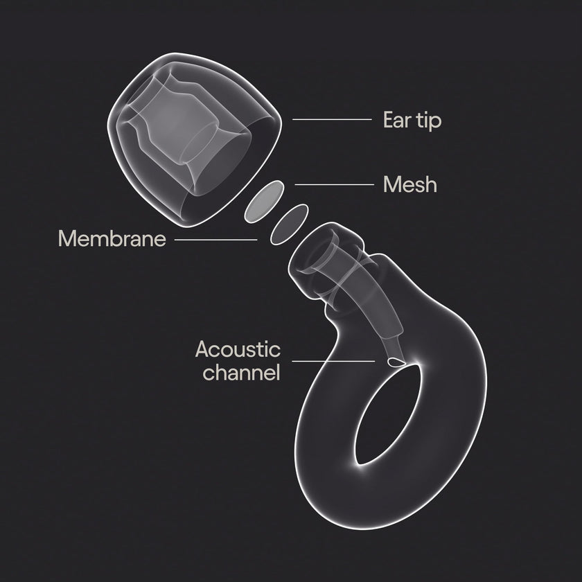 Loop Experience 2 Ear Plugs – Stylish Certified Hearing Protection for Concerts & Festivals, Live Events, Musicians, Sports, DJs and Nightlife – 17dB Noise Reduction Earplugs (High-Fidelity) 🍁 All In One Marketplace Canada