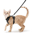 rabbitgoo Cat Harness and Leash for Walking, Escape Proof Soft Adjustable Vest Harnesses for Small Medium Cats, Easy Control Breathable Reflective Strips Jacket, XS, Black 🍁 All In One Marketplace Canada