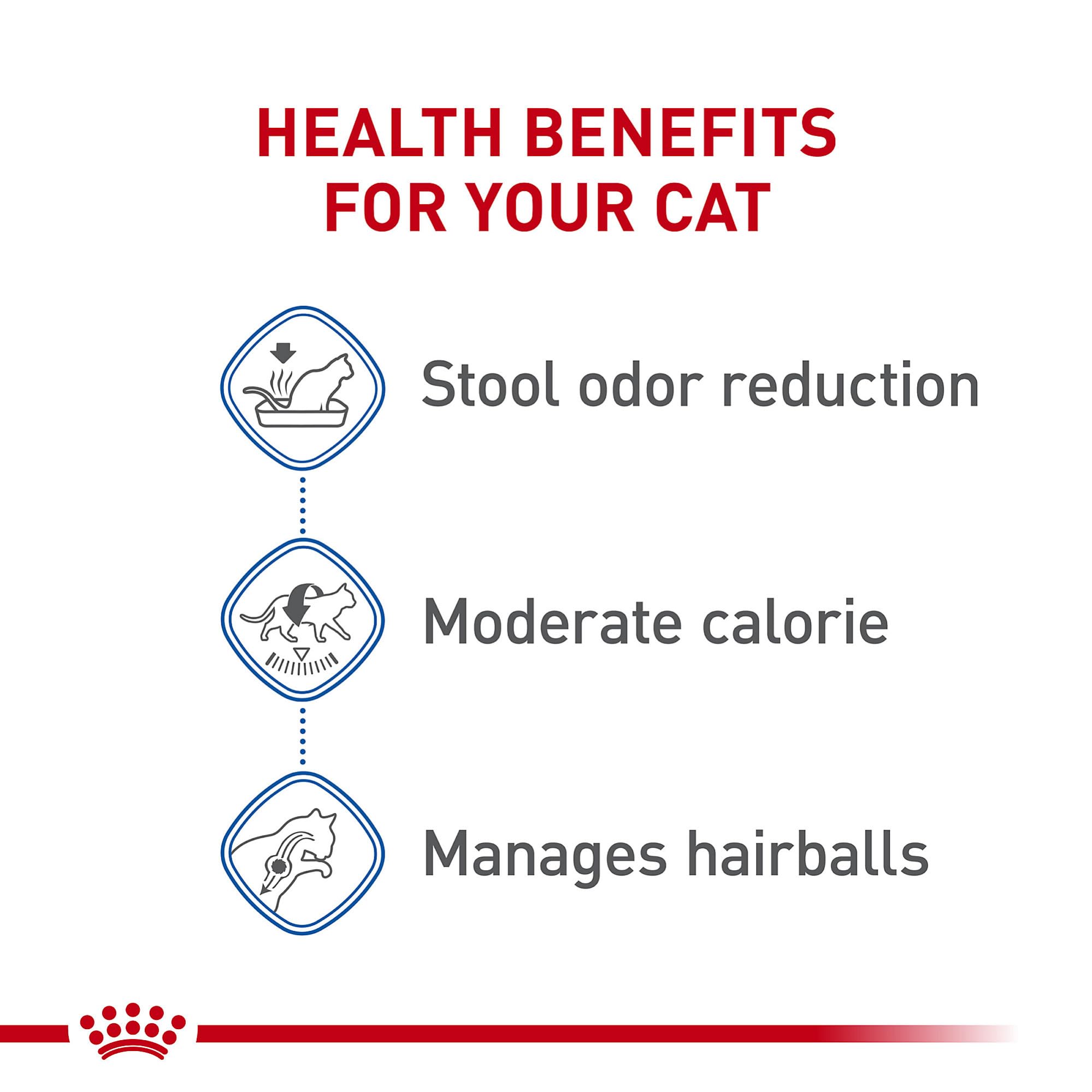 Royal Canin Indoor Adult Dry Cat Food, 15 lb bag 🍁 All In One Marketplace Canada