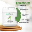 PUROLEO NEEM Oil 32 Fl Oz/946 ML (Packed In Canada) Pure and Natural Neem Oil for Multipurpose Use | Neem Oil extracted from NEEM Plante Chemical free Neem Oil Spray 🍁 All In One Marketplace Canada