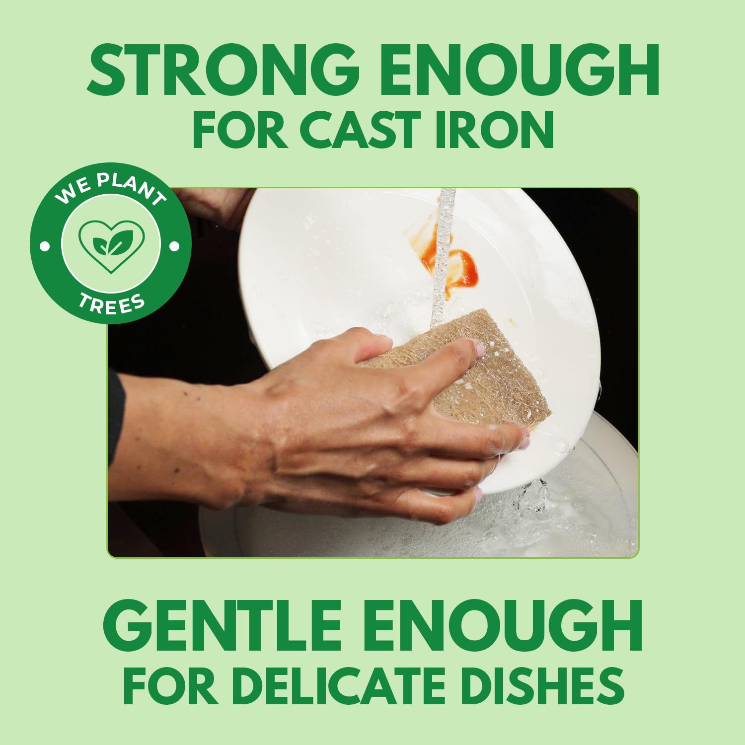 AIRNEX 10 Pack Biodegradable Natural Kitchen Sponges - Eco Friendly Cellulose and Coconut Dish Scrubbers - Odourless, Non Scratch, Dual Sided Multipurpose Sponges 🍁 All In One Marketplace Canada