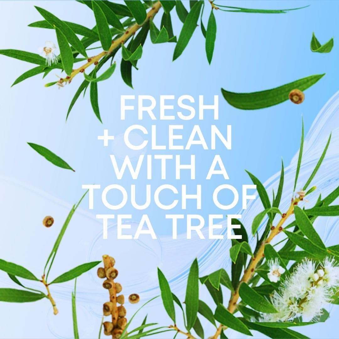Bushbalm Ingrown Hair Oil - Targets Ingrown Hairs, Razor Bumps and Post Shave Irritation - Soothes and Hydrates Skin, 30 ml - Nude 🍁 All In One Marketplace Canada
