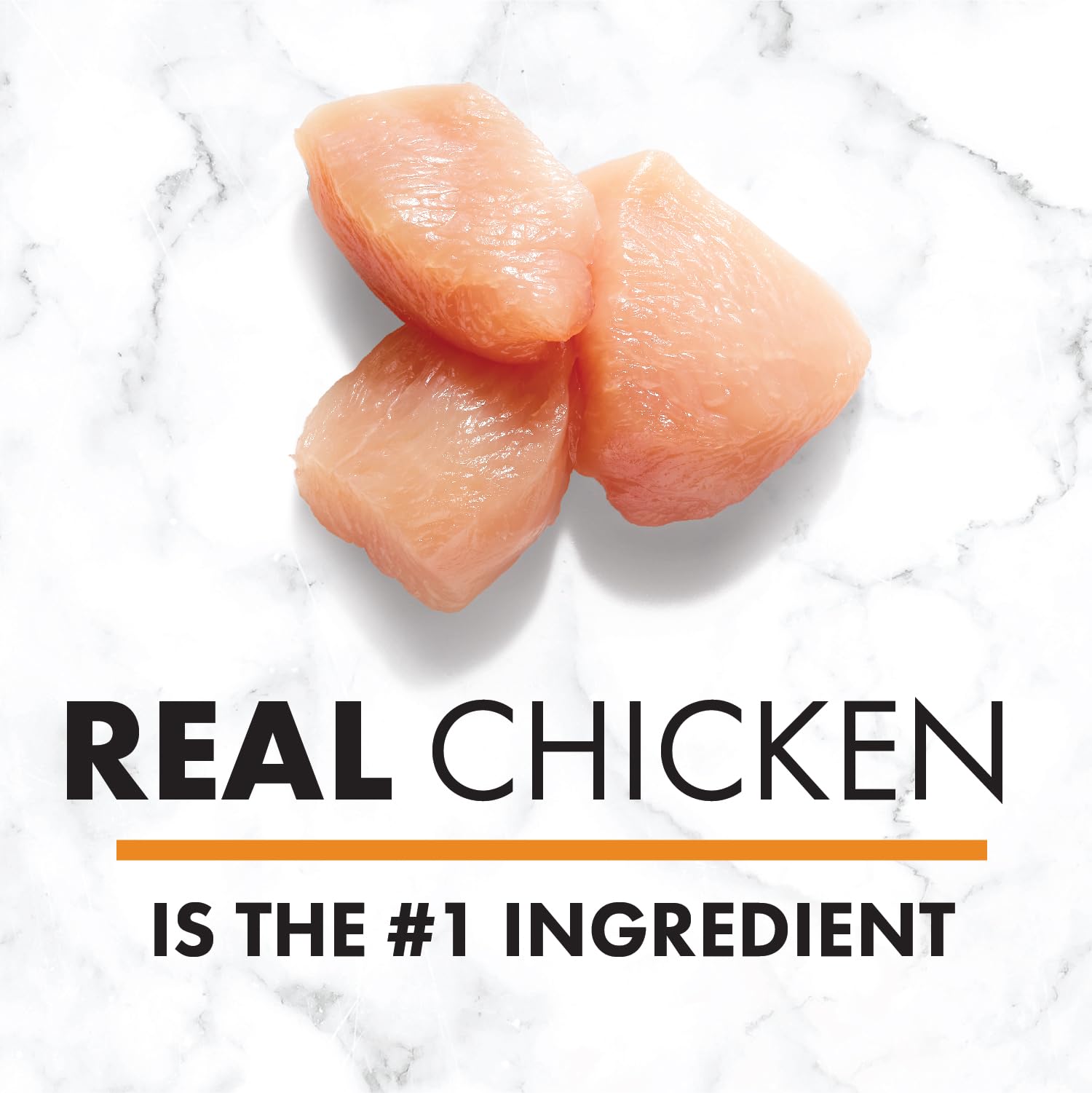 Nutro Natural Choice Adult Wet Dog Food, Chicken Flavour, 355g 🍁 All In One Marketplace Canada