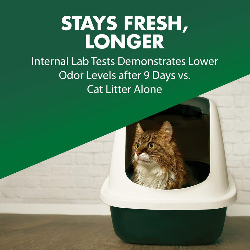 ARM & Hammer Cat Litter Deodorizer Double Duty, 20 oz, 6 Pack 🍁 All In One Marketplace Canada