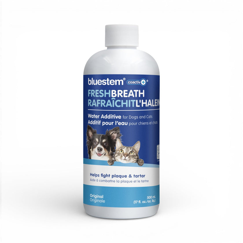 bluestem Dental Care Water Additive for Dogs & Cats – No Brushing Daily Teeth Cleaner – Pet Oral Rinse to Freshen Breath & Help Reduce Plaque – Flavorful & Easy Oral Hygiene (500 ml, Original) 🍁 All In One Marketplace Canada