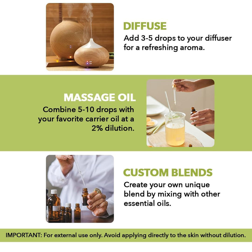 Majestic Pure Lemongrass Essential Oil - Huge 118 ml - 100% Pure and Natural Oil for Soap Making Scent- Premium Grade with Glass Dropper 🍁 All In One Marketplace Canada