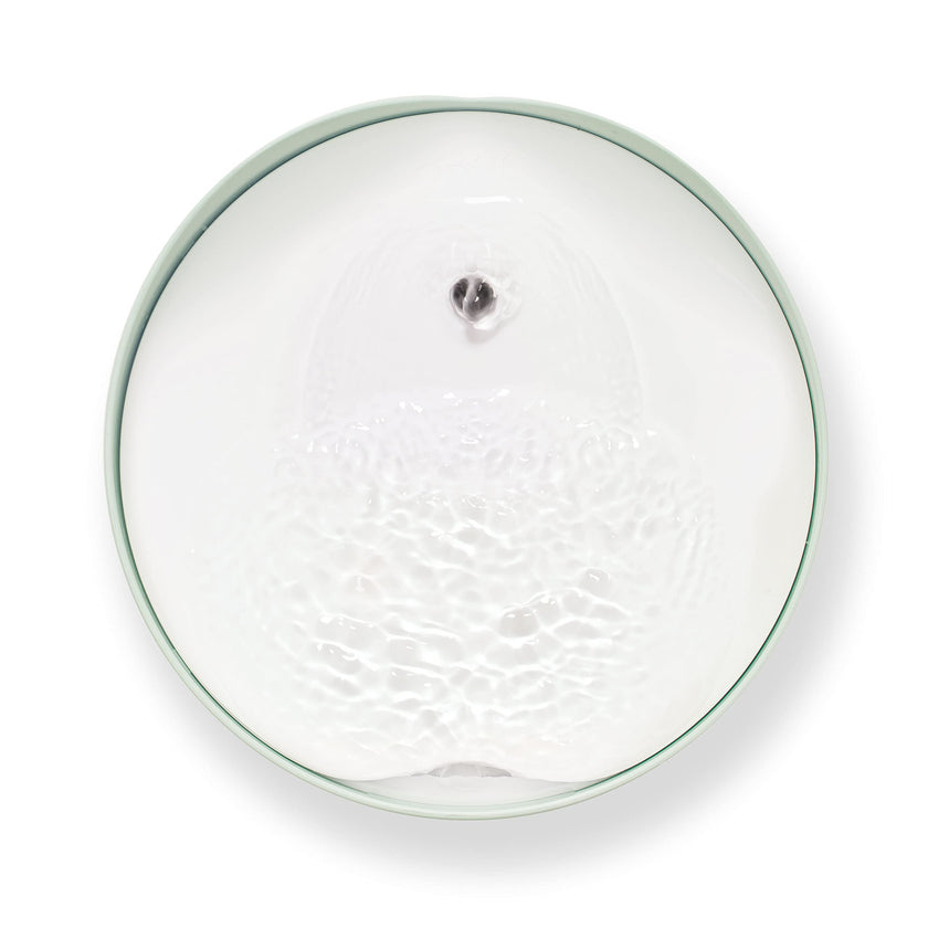 Catit PIXI Cat Water Fountain, 2.5 L, Mint Green, Modern Cat Fountain, Silent Pump for Indoor Cats, Different Flow Settings, Fontaine Pour Chat, Pet Water Fountains 🍁 All In One Marketplace Canada