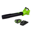 Greenworks 40V Cordless Leaf Blower (125 MPH /450 CFM) / Turbo Mode Electric Jet Blower, High Power, Lightweight & Quiet for Yard Patio Debris Leaves Dust Cleanup, Includes 2.0 Ah Battery & Charger 🍁 All In One Marketplace Canada