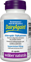 Webber Naturals Dairy Again Lactase Enzyme, 60 Capsules 🍁 All In One Marketplace Canada