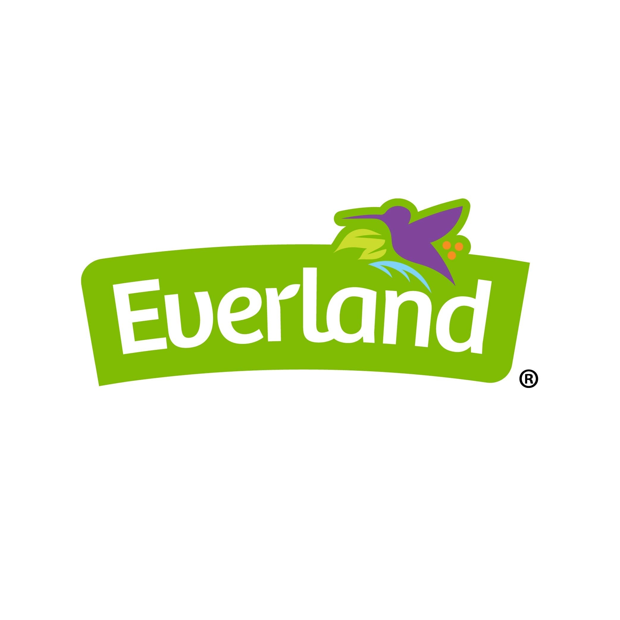 Everland Organic Walnuts, 340gm 🍁 All In One Marketplace Canada