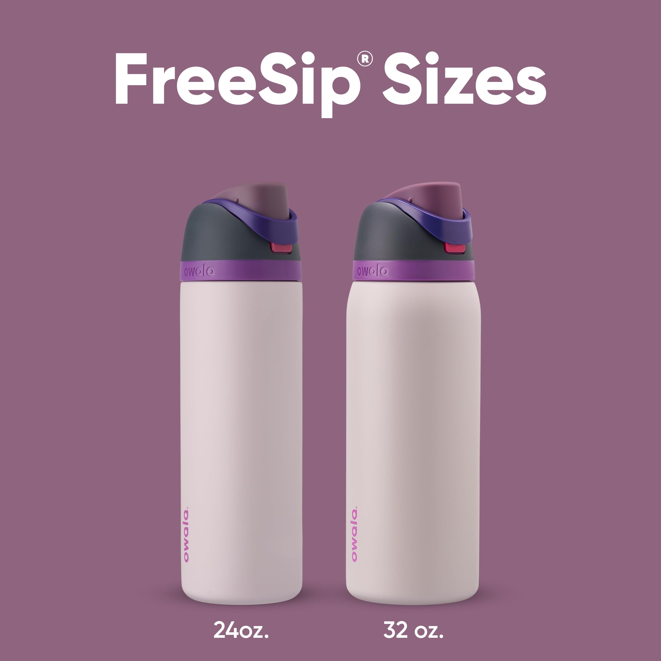 Owala FreeSip Insulated Stainless Steel Water Bottle with Straw for Sports and Travel, BPA-Free, 24oz, Dreamy Field 🍁 All In One Marketplace Canada
