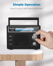 PRUNUS Portable Radio AM FM, Transistor Radio Battery Operated and Plug in Wall,Loud Speaker Support AUX in and Micphone in, Small Radios Portable AM FM J-136 🍁 All In One Marketplace Canada