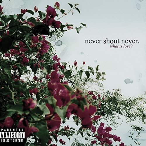 Never Shout Never / What Is Love? - CD (Used)