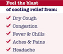 Buckley's Complete Syrup for Cough, Cold & Flu Relief, 250 mL (Packaging May Vary) 🍁 All In One Marketplace Canada