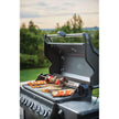 Napoleon Grill Light with Four high-powered LED lights 70049 🍁 All In One Marketplace Canada