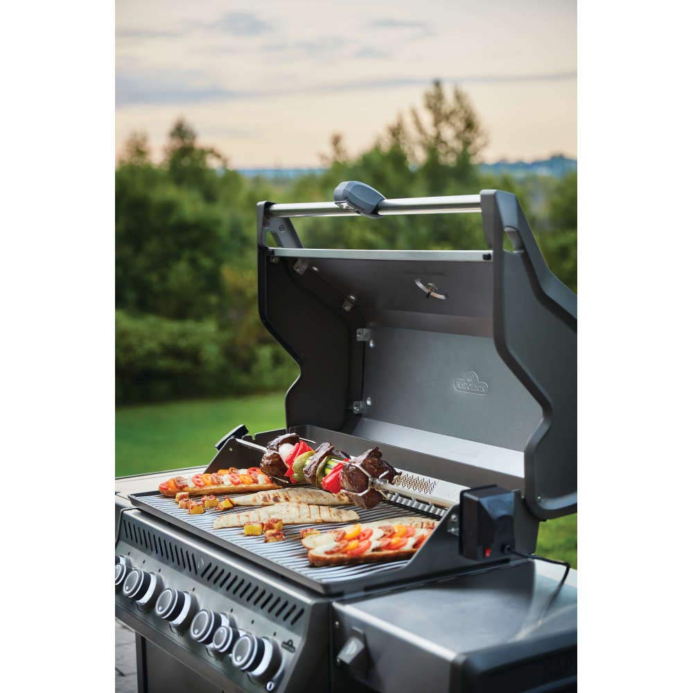 Napoleon Grill Light with Four high-powered LED lights 70049 🍁 All In One Marketplace Canada
