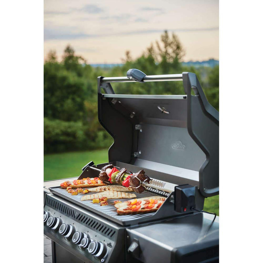 Napoleon Grill Light with Four high-powered LED lights 70049 🍁 All In One Marketplace Canada
