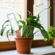 Fu Store 10PCS Plant Watering Stakes Automatic Plant Drippers Waterers for Vacations Plant Watering Devices Terracotta Self Waterinq Spikes for Wine Bottles Great for Indoor Outdoor Plants 🍁 All In One Marketplace Canada