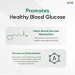Herba Alpha Lipoic Acid 600mg – 120 Capsules | >99% Ultra Pure | Made in Canada | Blood Sugar Support Supplement 🍁 All In One Marketplace Canada