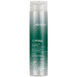 Joico JoiFULL Shampoo – Lightweight Volumizer for Fine Hair, Reduces Frizz & Adds Fullness 🍁 All In One Marketplace Canada