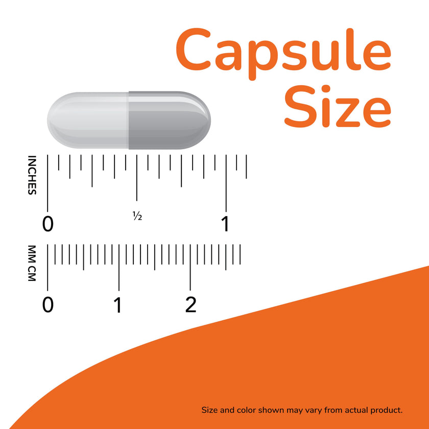 NOW Supplements, L-Carnitine 500mg, Purest Form, Amino Acid, Fitness Support, 60 Veg Capsules 🍁 All In One Marketplace Canada