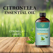 Carno Calm Organic Citronella Essential Oil | 100% Pure Natural Citronella Oil | For Scalp and Hair | Ideal for Both men and women | 1.7 fl oz 🍁 All In One Marketplace Canada