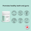 Prodentis Mint | Dental Oral Probiotic Lozenges | for Adults | Clinically Proven Dental Probiotics | Promotes Good Oral Health & Gut Health Too | 30 Mint-Flavored Lozenges 🍁 All In One Marketplace Canada