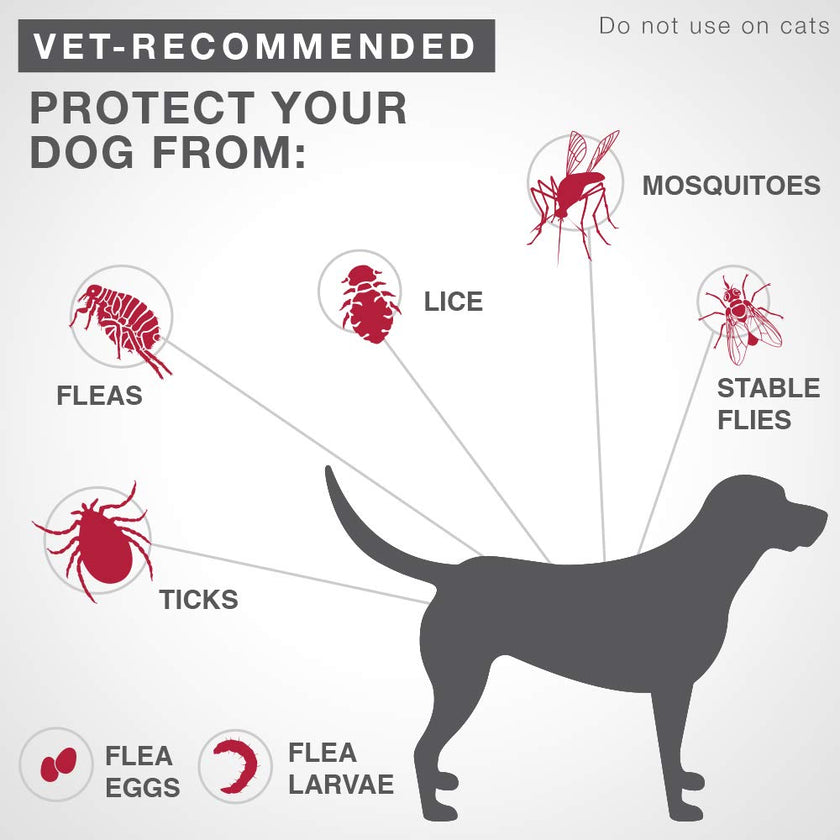 K9 Advantix II Flea and Tick Treatment for Extra Large Dogs weighing over 25 kg (over 55 lbs.)-4 doses 🍁 All In One Marketplace Canada