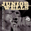 Junior Wells / Live Around the World: The Best of Junior Wells - CD (Used)