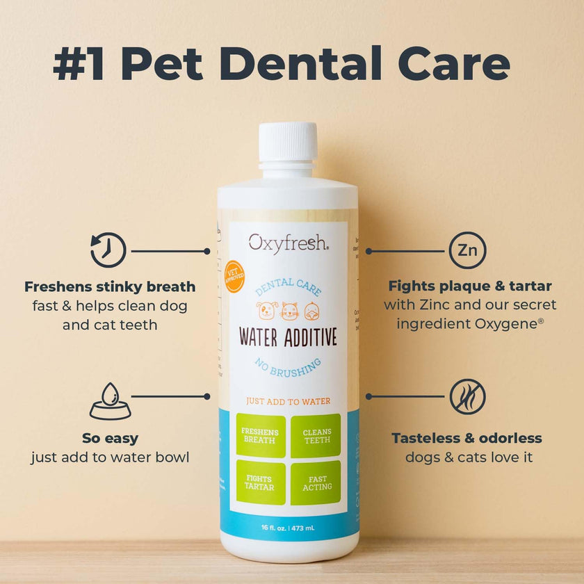 Oxyfresh Premium Pet Dental Care Solution Pet Water Additive: Best Way to Eliminate Bad Dog Breath and Cat Bad Breath - Fights Tartar & Plaque - So Easy, Just Add to Water! Vet Recommended 16 oz. 🍁 All In One Marketplace Canada