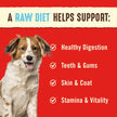 Stella & Chewy’s Freeze Dried Raw Dinner Patties – Grain Free Dog Food, Protein Rich Dandy Lamb Recipe – 708g Bag 🍁 All In One Marketplace Canada