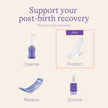Lansinoh Postpartum Maxi Pads Bundle, 40 Count 🍁 All In One Marketplace Canada