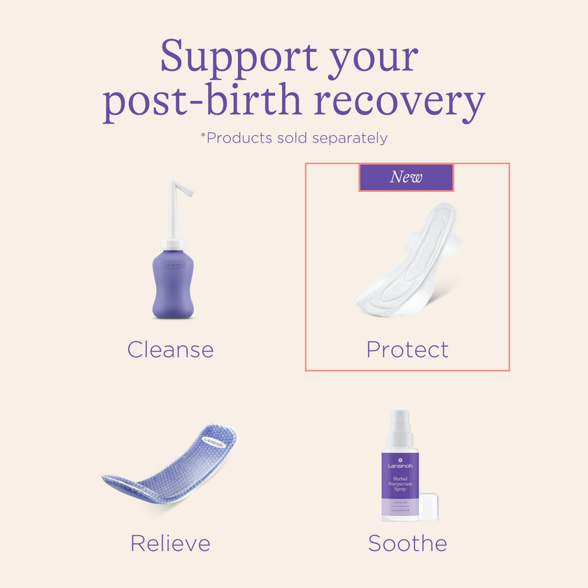 Lansinoh Postpartum Maxi Pads Bundle, 40 Count 🍁 All In One Marketplace Canada