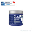 CeraVe Healing Ointment, Moisturizing Petrolatum Skin Protectant for Dry Skin with Hyaluronic Acid and Ceramides, Multi-Purpose Face, Body & Lip Balm, Lanolin-Free & Fragrance-Free, 340g 🍁 All In One Marketplace Canada