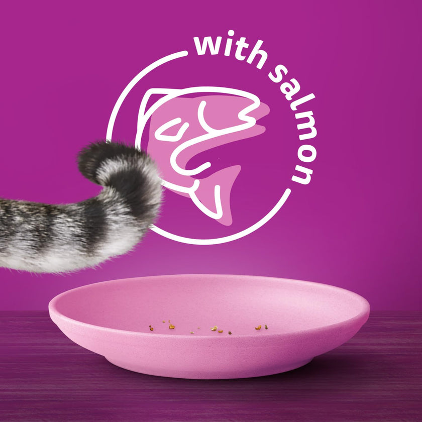 WHISKAS Seafood Selections Adult Dry Cat Food With Natural Salmon and Shrimp Flavour, Large 9.1kg Bag 🍁 All In One Marketplace Canada
