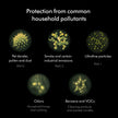 Dyson Combi 360° Glass HEPA and Activated Carbon Air Purifier Filter 🍁 All In One Marketplace Canada