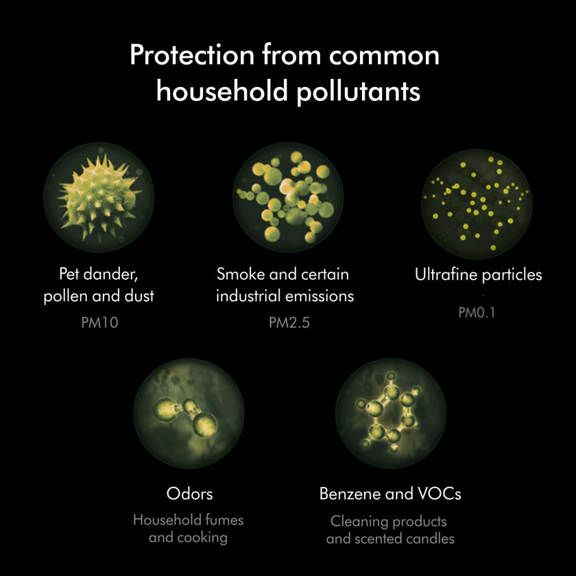 Dyson Combi 360° Glass HEPA and Activated Carbon Air Purifier Filter 🍁 All In One Marketplace Canada