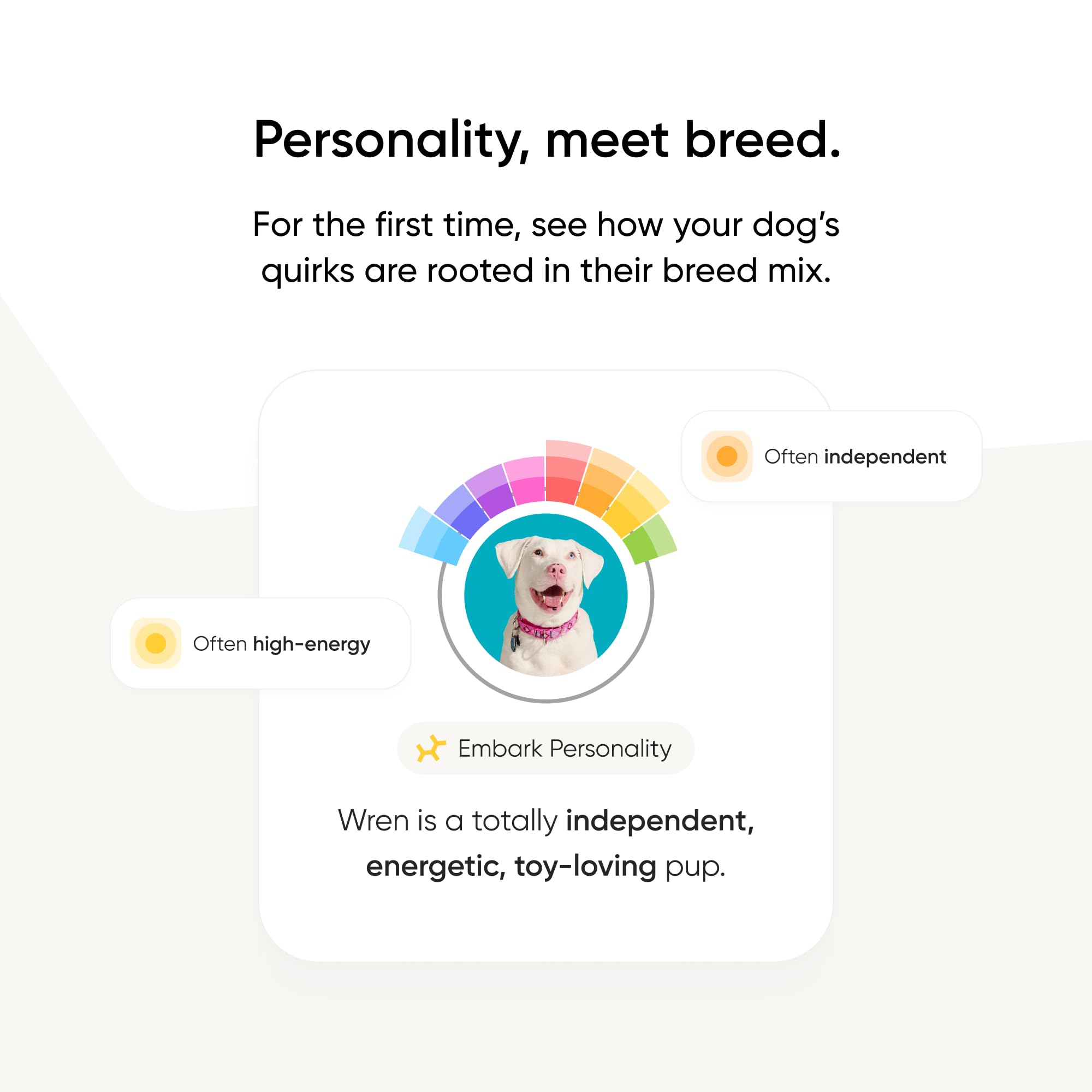 Embark Breed Identification Kit Most Accurate Dog DNA Test Test 350+ Dog Breeds Breed ID Kit with Ancestry & Family Tree 🍁 All In One Marketplace Canada