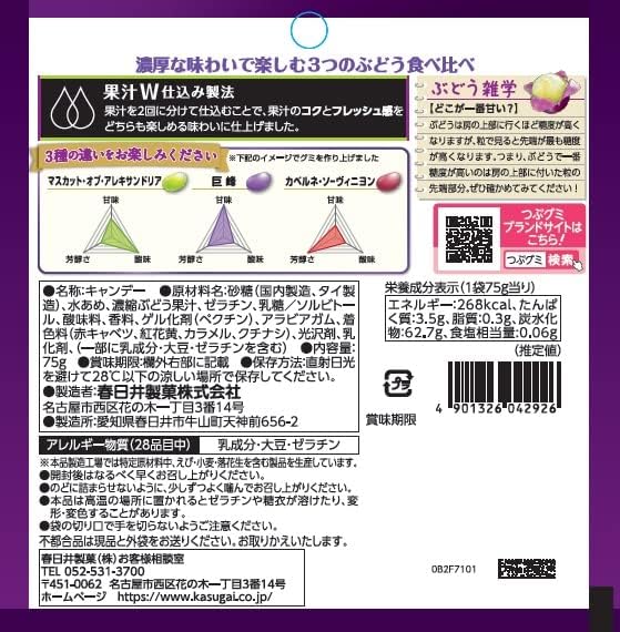 Kasugai Premium Rich Grape Jelly Bean (75G) [Best Before Date: 2026.09]
