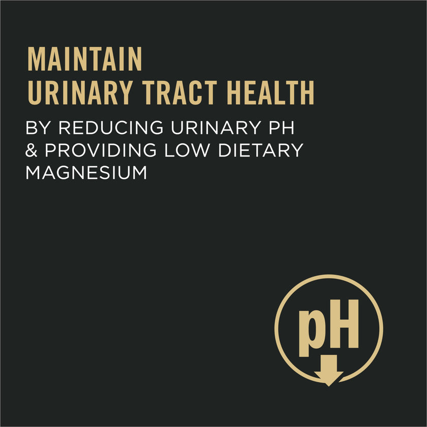 Pro Plan Dry Cat Food, Urinary Tract Health, Chicken & Rice 7.26Kg, Brown, 7.26 kg (Pack of 1) 🍁 All In One Marketplace Canada