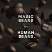 Kicking Horse Coffee, Kick Ass, Dark Roast, Whole Bean, 1 lb - Certified Organic, Fairtrade, Kosher Coffee 🍁 All In One Marketplace Canada